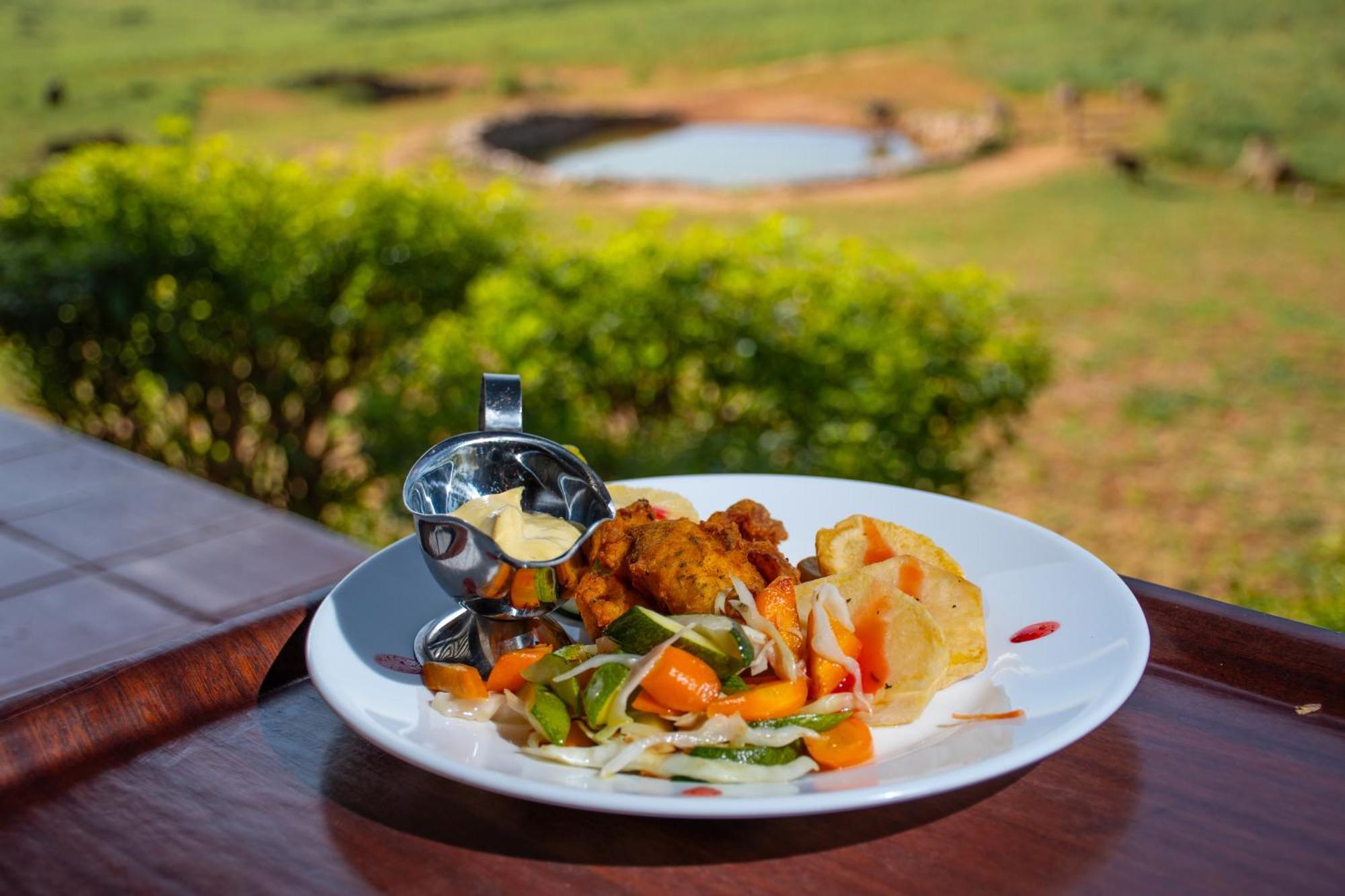 Ngulia Safari Lodge Ithumba Buitenkant foto