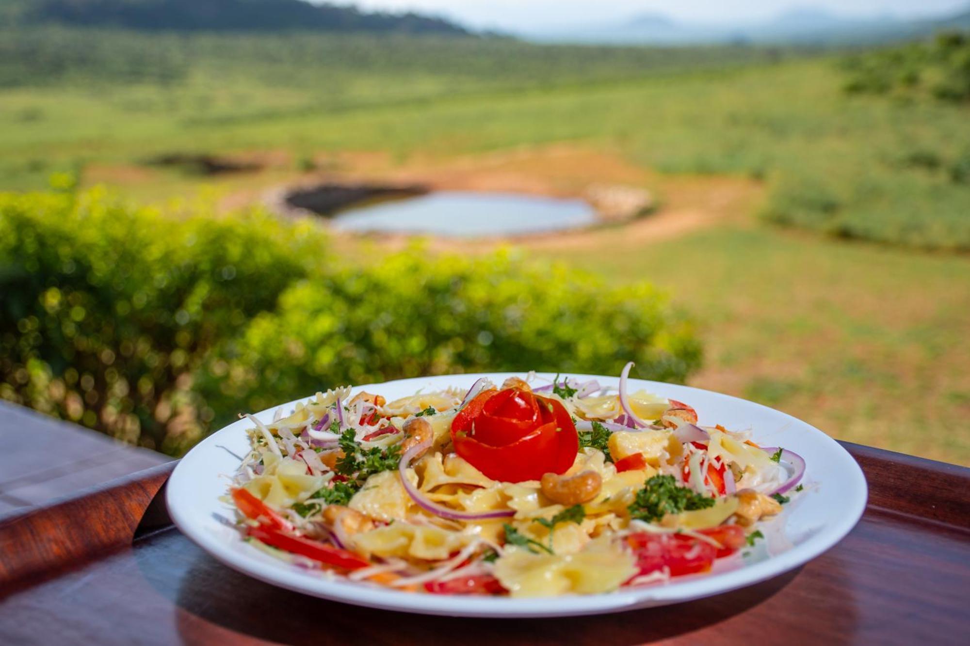 Ngulia Safari Lodge Ithumba Buitenkant foto